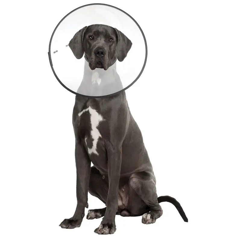 E-Clear - Plastic E-Collar - XXL