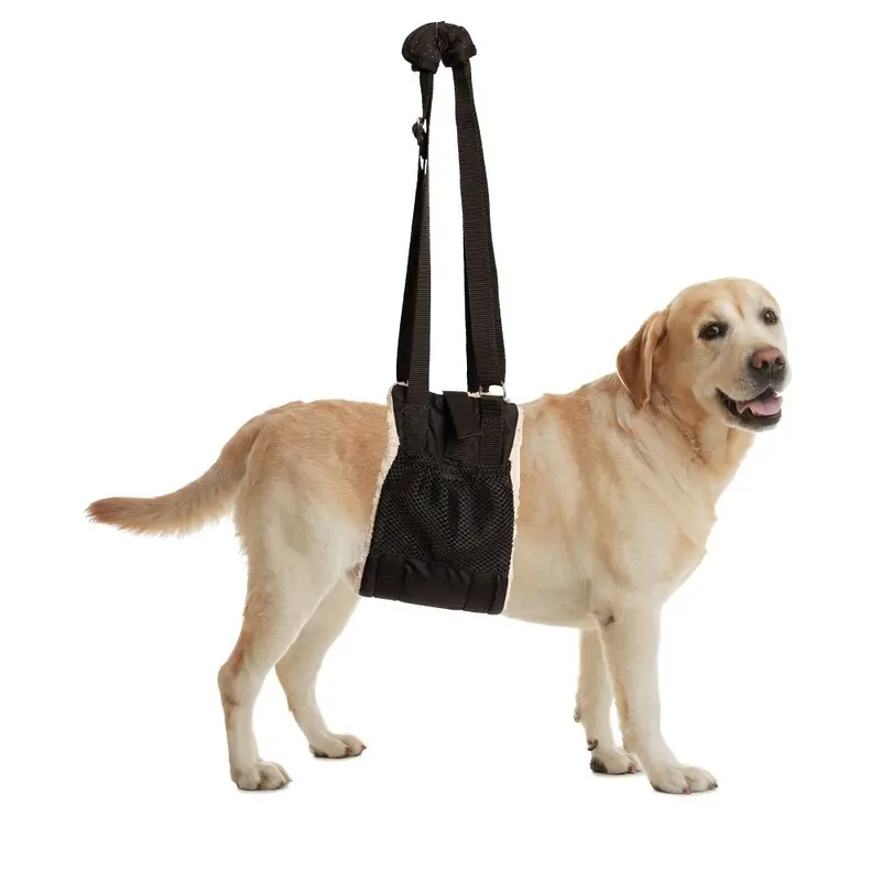 ZenPet - Buddy Lift - Md/Lg