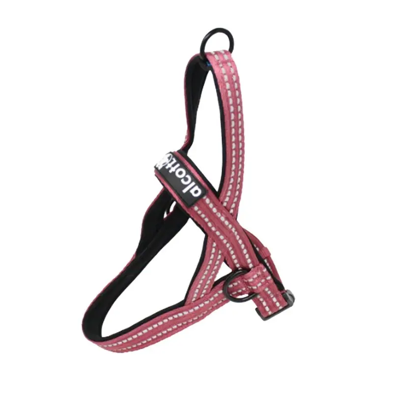 Alcott - Norwegian Red Harness XXL