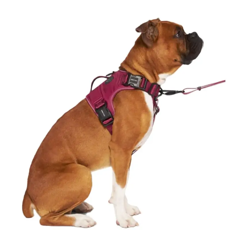 Canada Pooch - Complete Control Harness Plum XL
