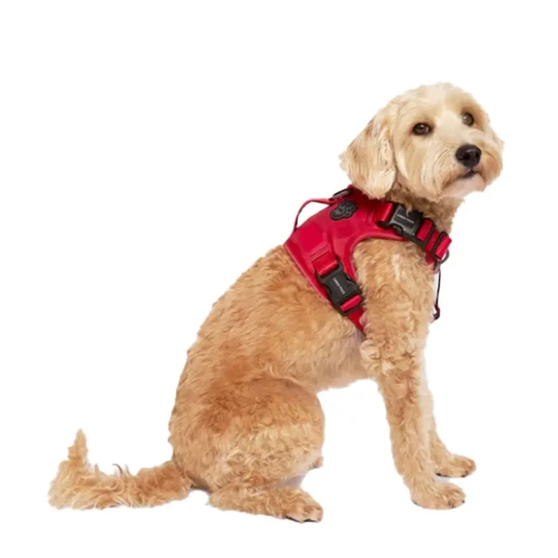 Canada Pooch - Complete Control Harness Red Md