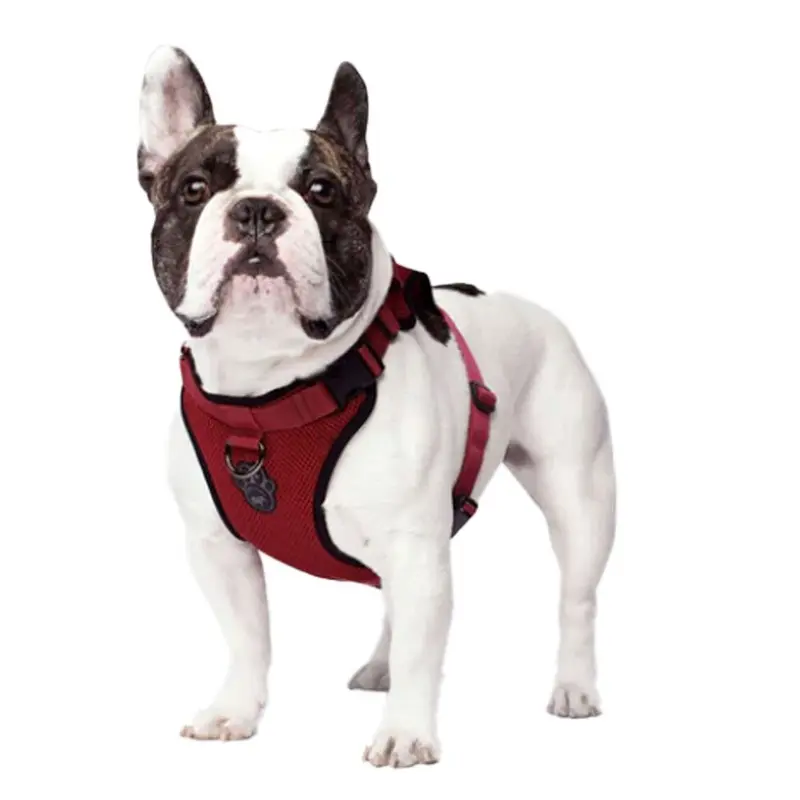 Canada Pooch - Everything Harness Red Lg