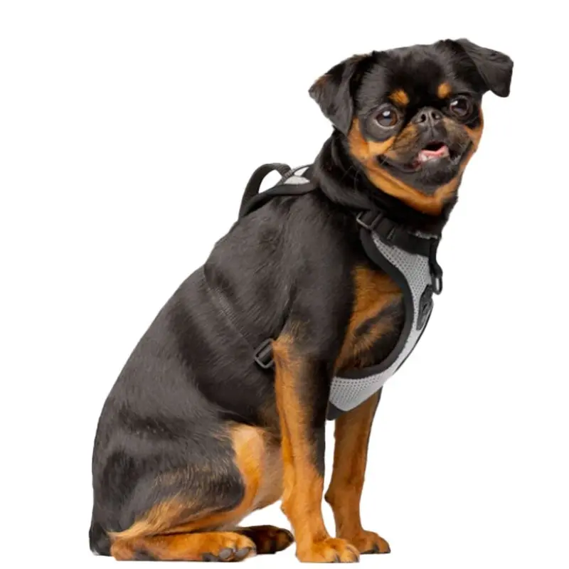 Canada Pooch - Everything Harness Reflective Mesh Md