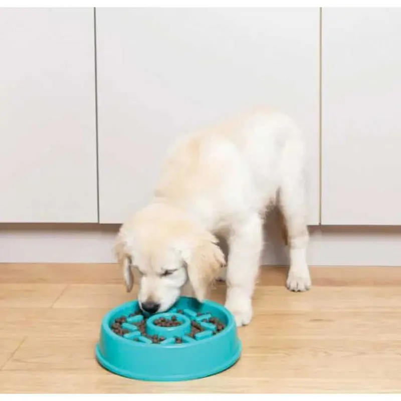 Zippy Paws Dog Bowl - Happy Bowl Slow Feeder - Donut