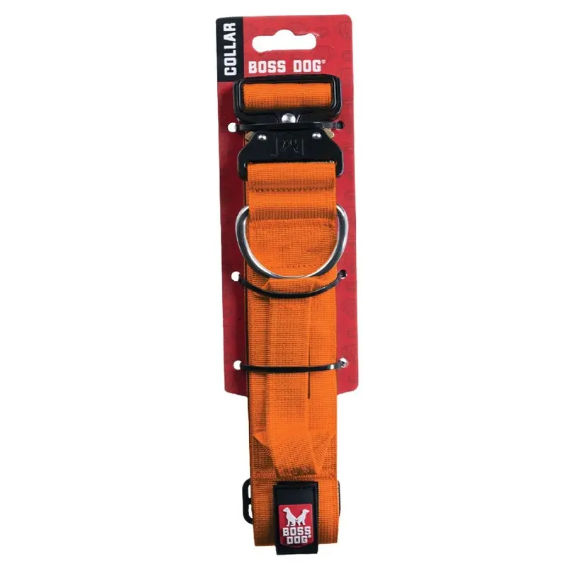 Boss - Tactical Collar Hunter Orange Md
