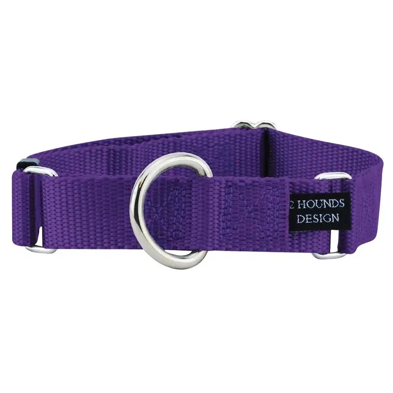 2 Hounds - Nylon Purple Martingale 1in Lg