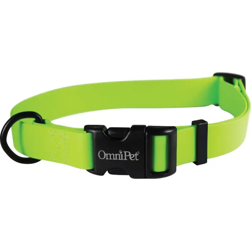 Carnival Biothane Dog Collar - Lime Green - 3/4 x 14-20 in