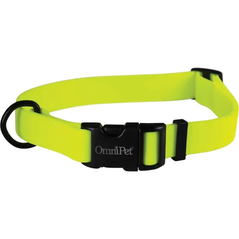 Carnival Biothane Dog Collar - Neon Yellow - 3/4 x 14-20 in