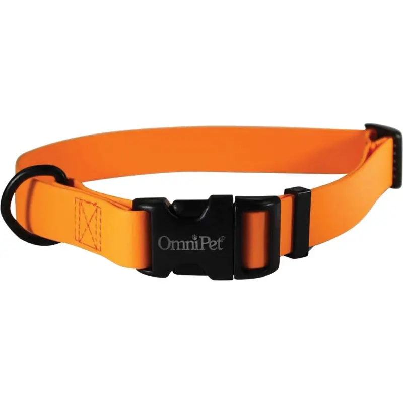 Carnival Biothane Dog Collar - Orange - 3/4 x 14-20 in