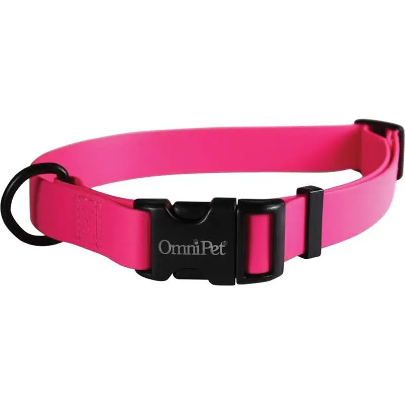 Carnival Biothane Dog Collar - Ruby - 3/4 x 14-20 in