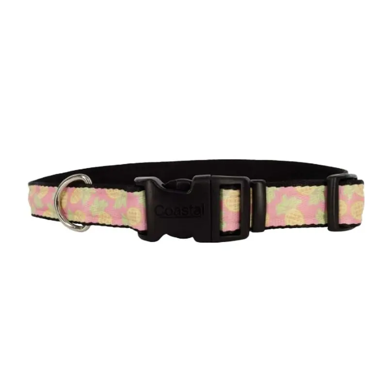 Coastal - Styes Pineapples Collar 5/8x10-14in