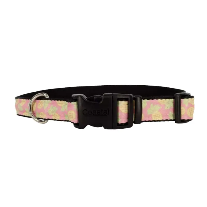 Coastal - Styles Pineapples Collar 5/8x8-12in