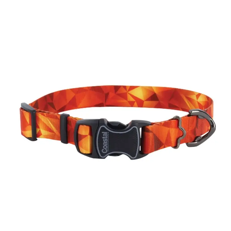 Coastal - Inspire Blazing Shards Collar 1x14-20in