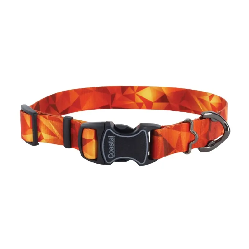 Coastal - Inspire Blazing Shards Collar 5/8x10-14in