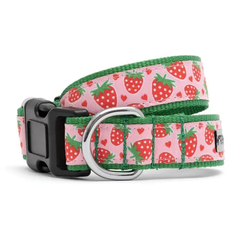 Worthy Dog - Strawberries Collar SM 9-15in