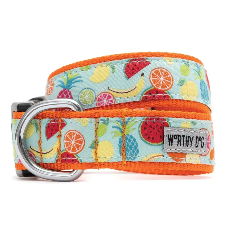 Worthy Dog - Tutti Frutti Collar MD 12-18in