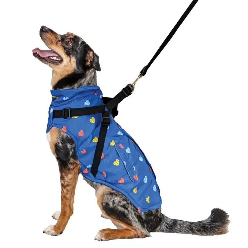 Fashion Pet - Puffy Heart Harness Coat - Blue - L
