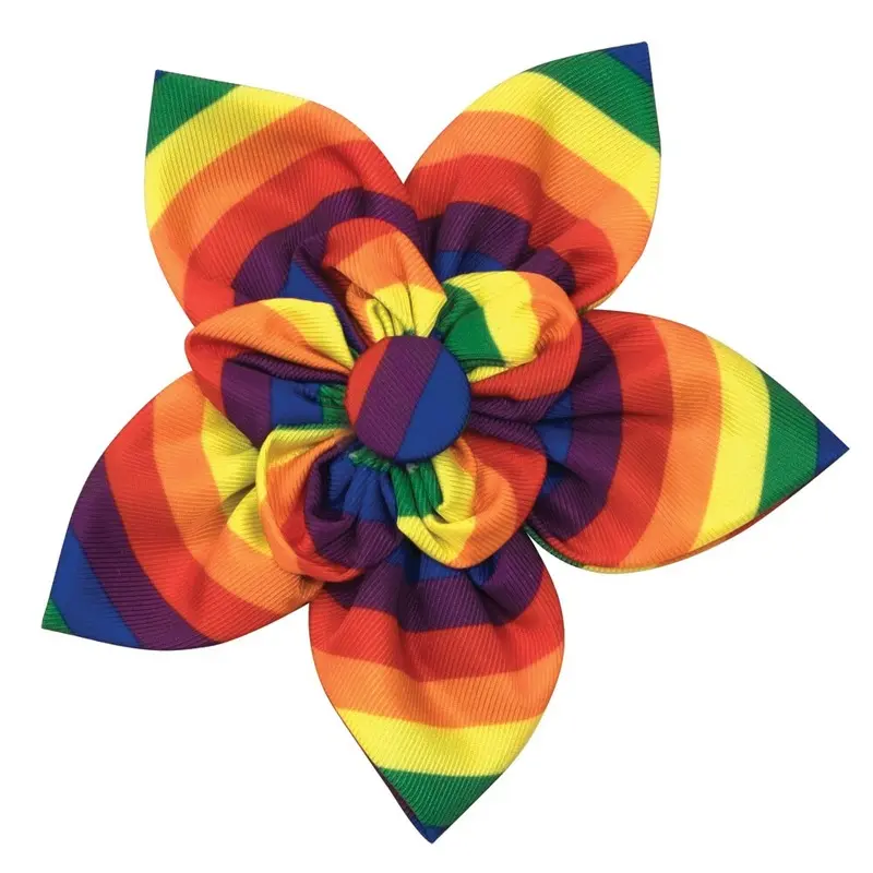 Worthy Dog - Flower - Rainbow - Sm