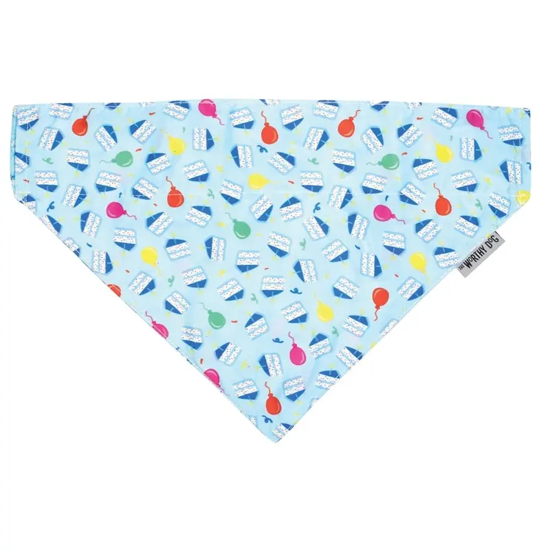 Worthy Dog - Bandana - Birthday Boy - Lg