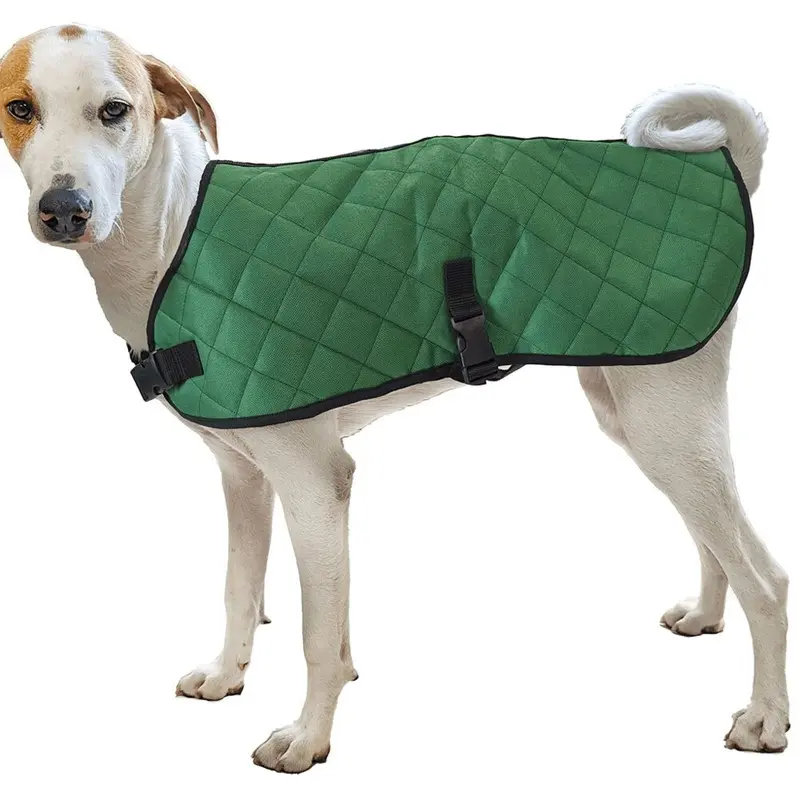 Fashion Pet - Green Quilted Blanket Coat XL