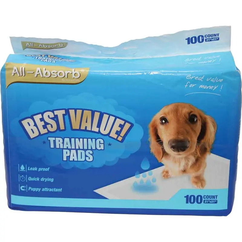 Best Value! Training Pads - 100 ct