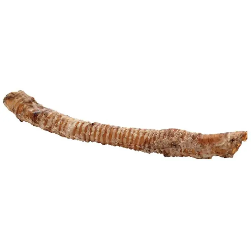 Butcher's Block - Whole Trachea - 14 in - 18 in