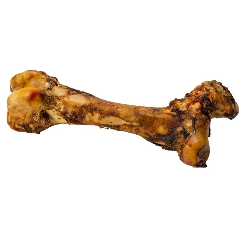 Butcher's Block - Goliath Femur Bone - Whole