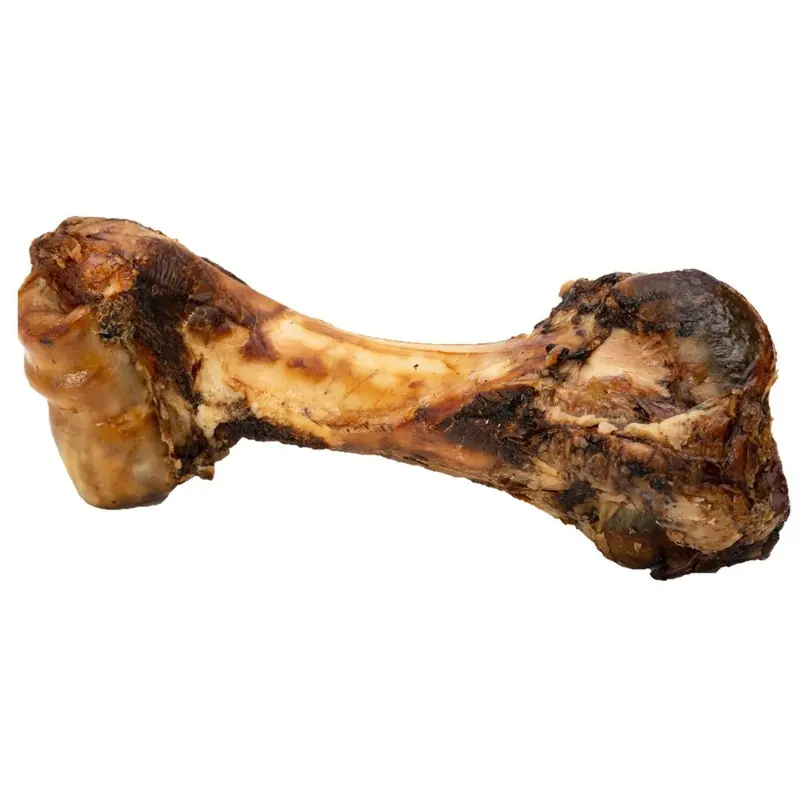 Butcher's Block - Jumbone: Beef Humerus - 11-13 in.