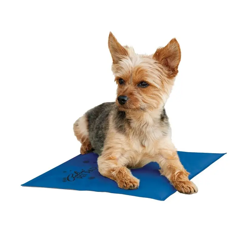 K&H - Coolin Pet Pad SM 11x15in