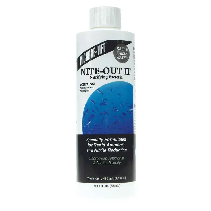 Nite Out II - 8 oz. - 236 mL