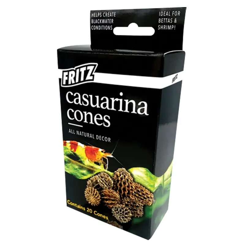 Fritz - Casuarina Cones