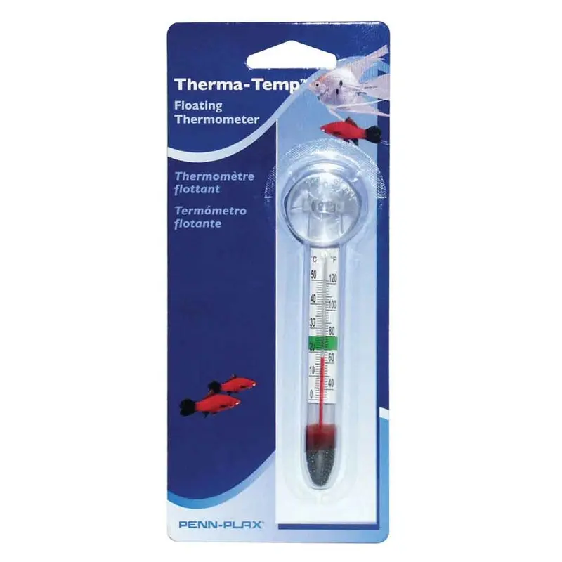 Floating Thermometer - Economy