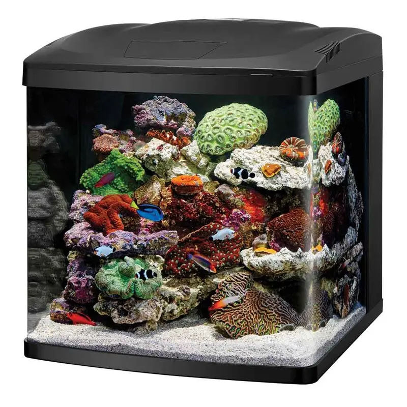 BioCube LED Aquarium - 32 gallon
