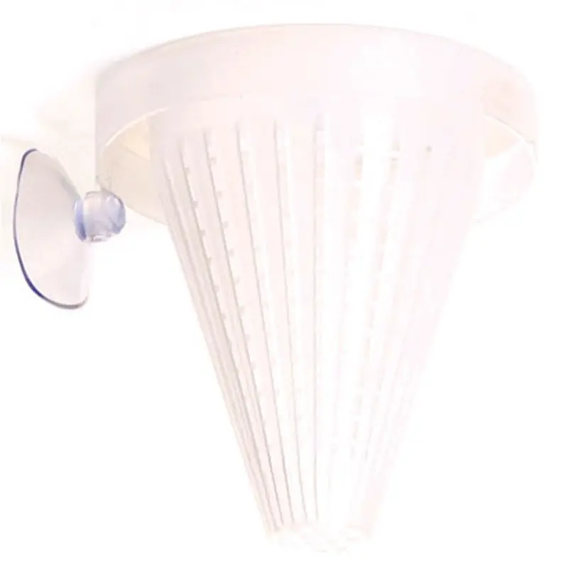 Underwater Treasures - Worm Feeder Cone