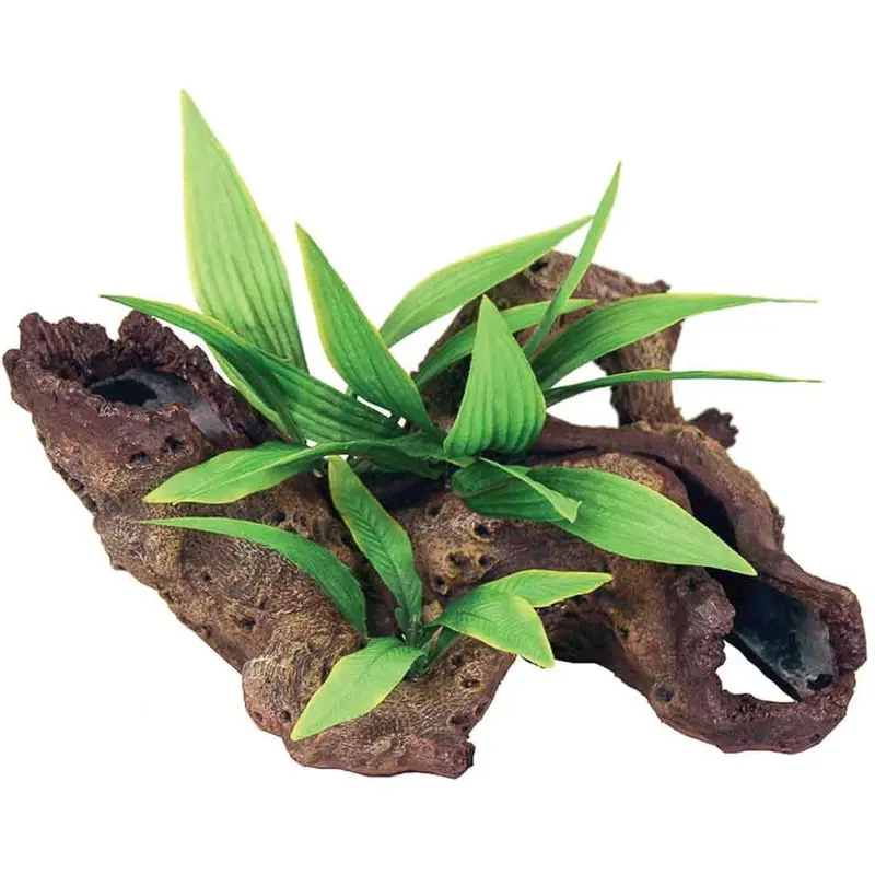 Mopani Wood with Plants - Small