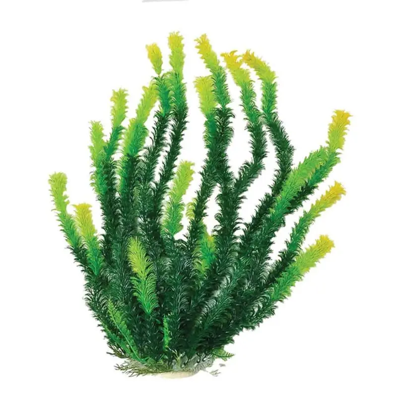 Aquatop Plant  - Green W/ Yellow Tip - 20 in.