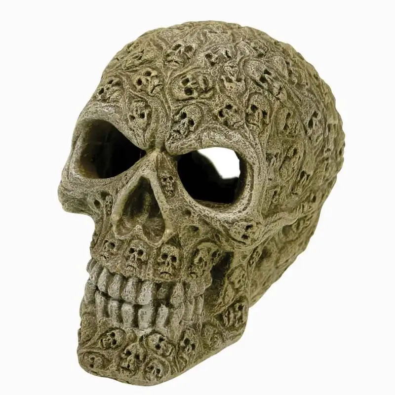 Exotic Environments Haunted Skull Small