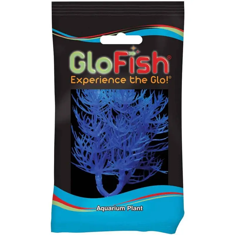 Tetra - GloFish Plant Blue Sm