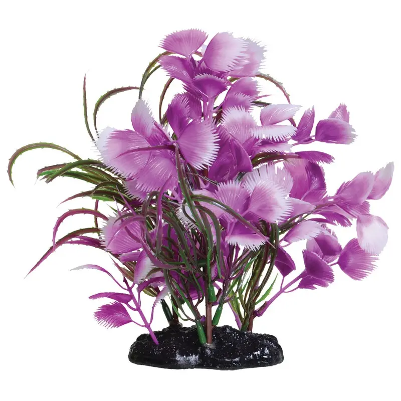 Fuscia Moon - 7.5 in.