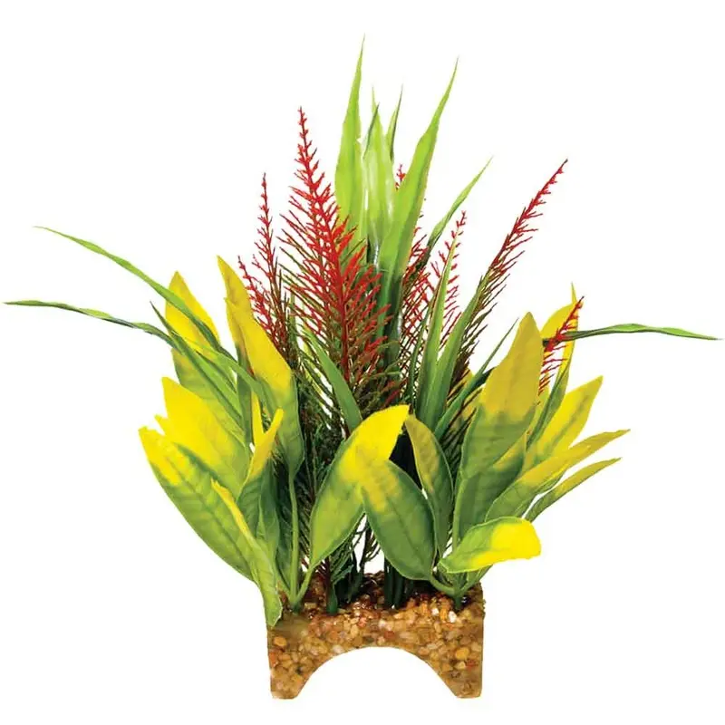 Garden Clusters - Archway Plant - Rainforest