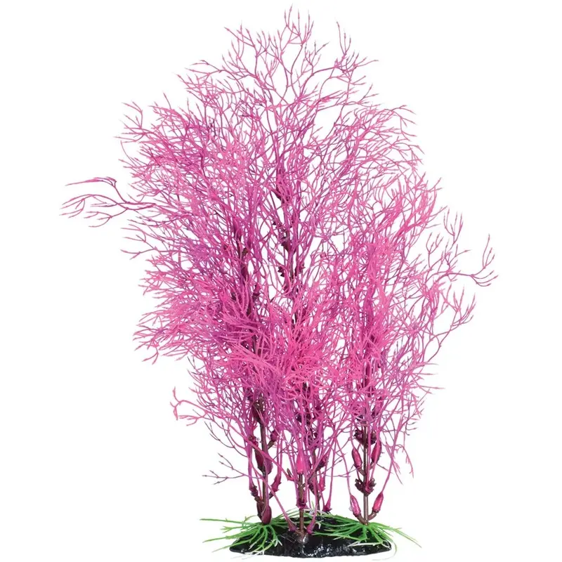 Underwater Treasures - Fuscia Fern - 14 in.
