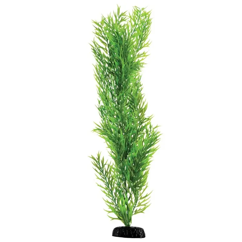 Underwater Treasures - Green Bamboo - 24 in.