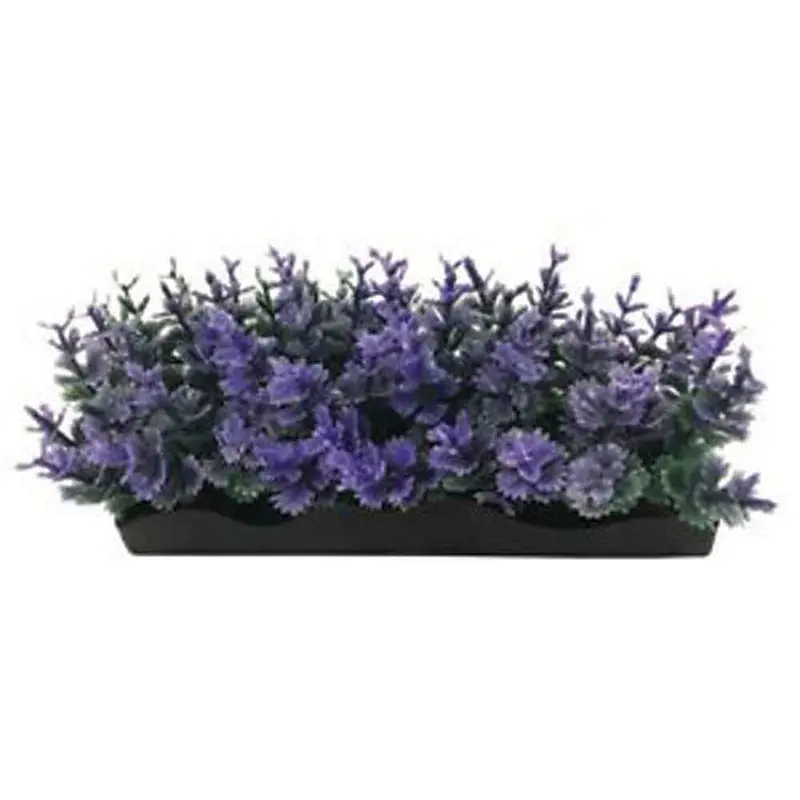 Aquascaping - Purple Bunch Plant - Small