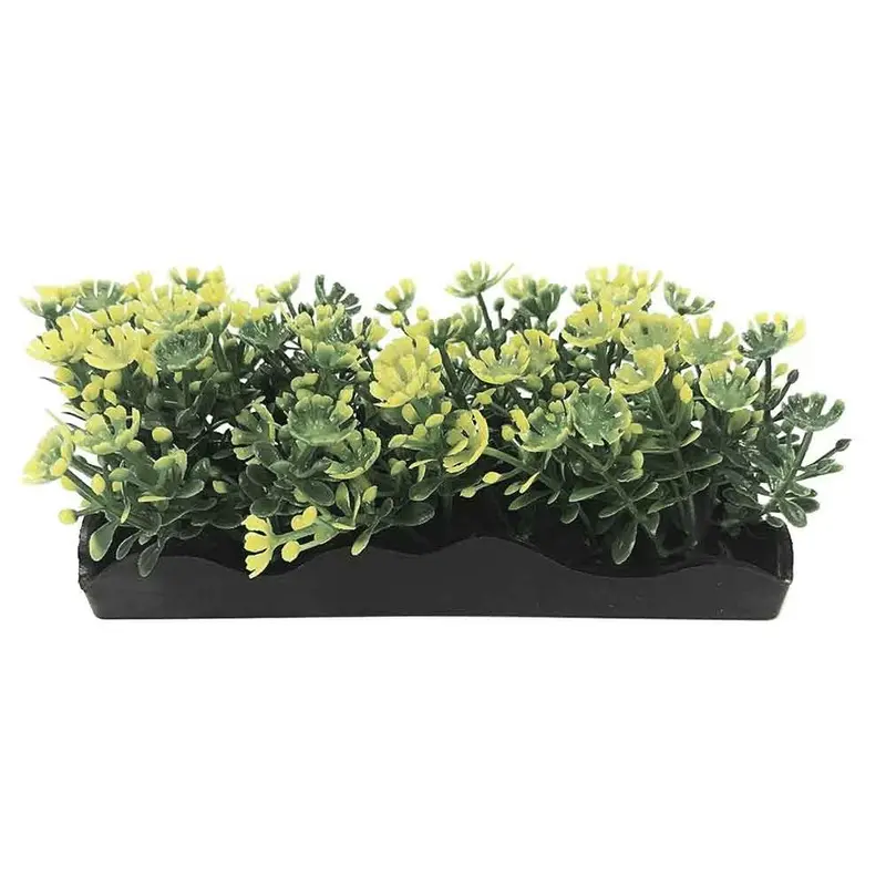 Aquascaping - Yellow Bunch Plant - Small