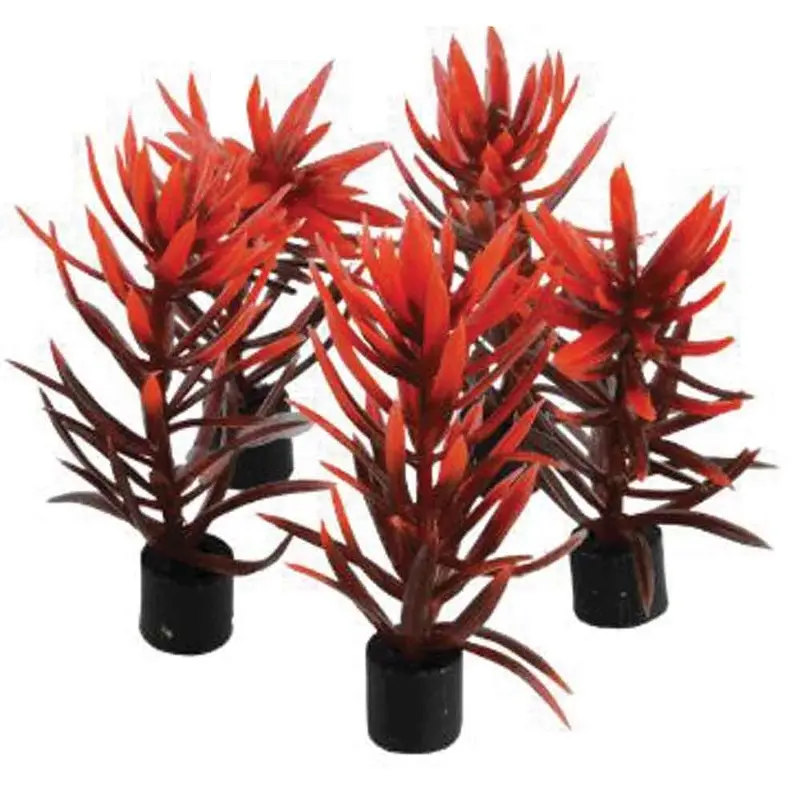 Underwater Treasures Mini Plant - Red & Brown - 3 in. - 5 pk