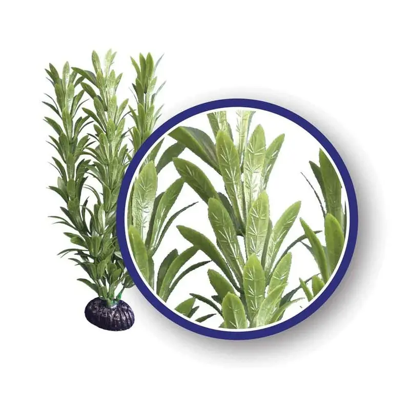 Weco Aquarium Plant - Anacharis - 12 in