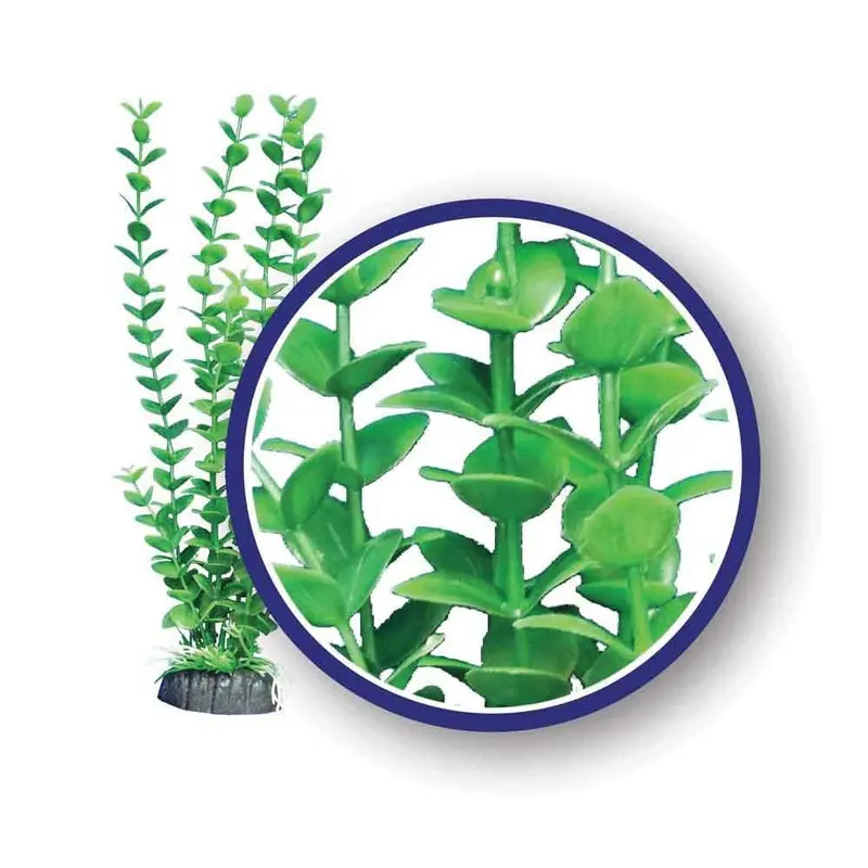 Weco Aquarium Plant - Bacopa - Lime - 9 in