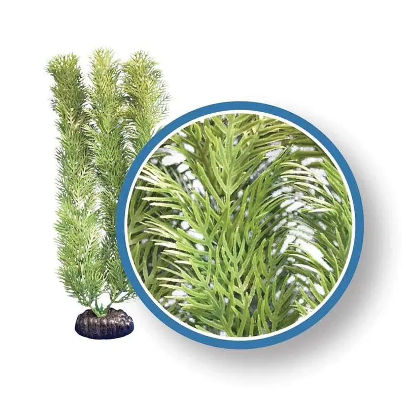 Weco Aquarium Plant - Cabomba - Green - 9 in