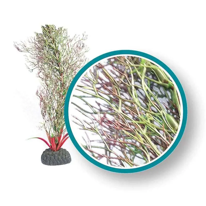 Weco Aquarium Plant - Fine Branch Kelp - 9 in