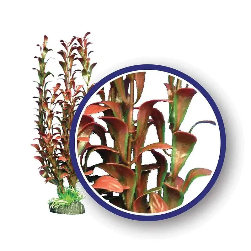 Weco Aquarium Plant - Hygrophilia - Red - 12 in